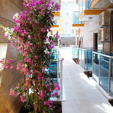 Hotell Arsi Enfi 4*