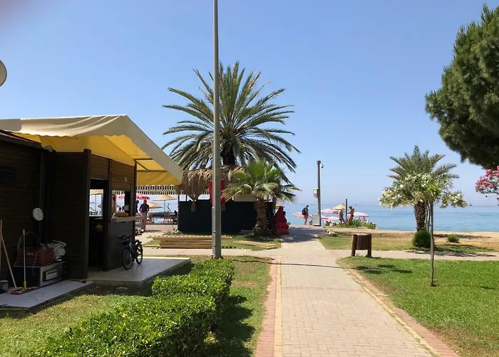 Arsi Enfi Αλάνια