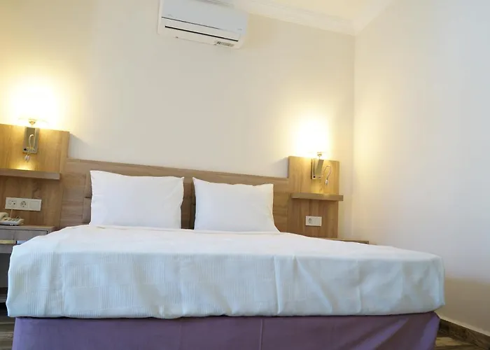 Hotel Arsi Enfi