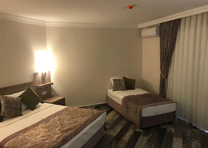 Hotel Arsi Enfi 4*