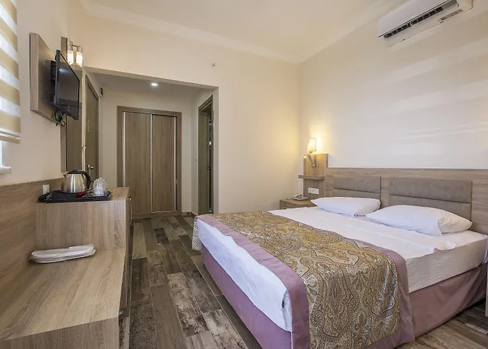 Arsi Enfi Alanya